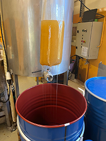 extraction miel