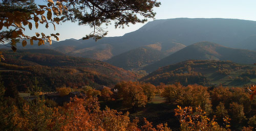 Paulhiet, Drme Provenale